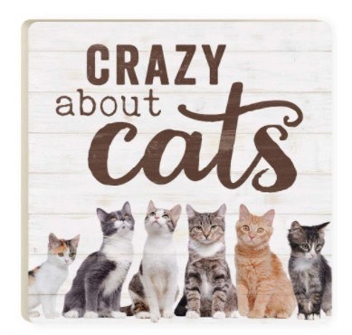 The Kitchen Cupboard and Icebox