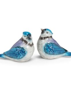 Salt & Pepper Blue Jay