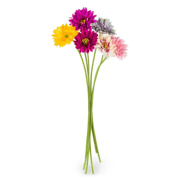 Flower Gerbera Daisy 24 Ast