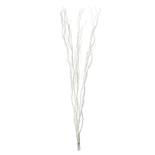 Salix Willow Bundle, 5 Pcs. - White