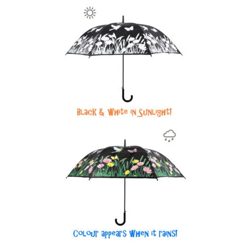 Colour Changing Umbrella Birds - Image 2