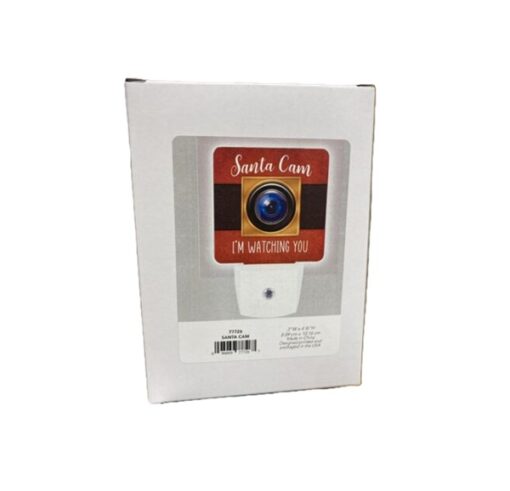 Nightlight Santa Cam