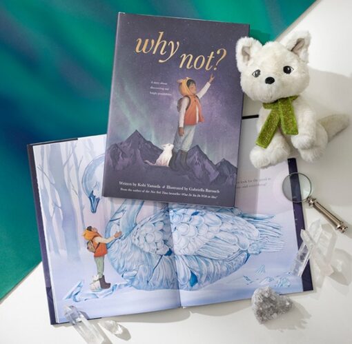 Book - Why Not - Image 2
