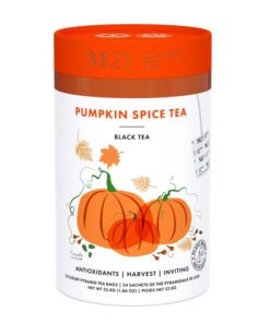 Pumpkin Spice Tea Tube 24 bags