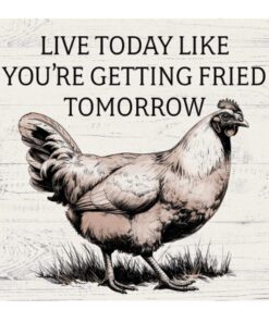 Coaster 4" Sq-Fried Tomorrow